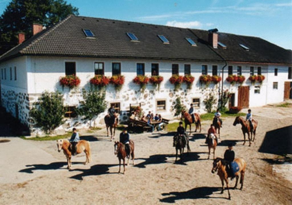 Reiterhof Stoeglehner Villa Rainbach im Mühlkreis Eksteriør billede