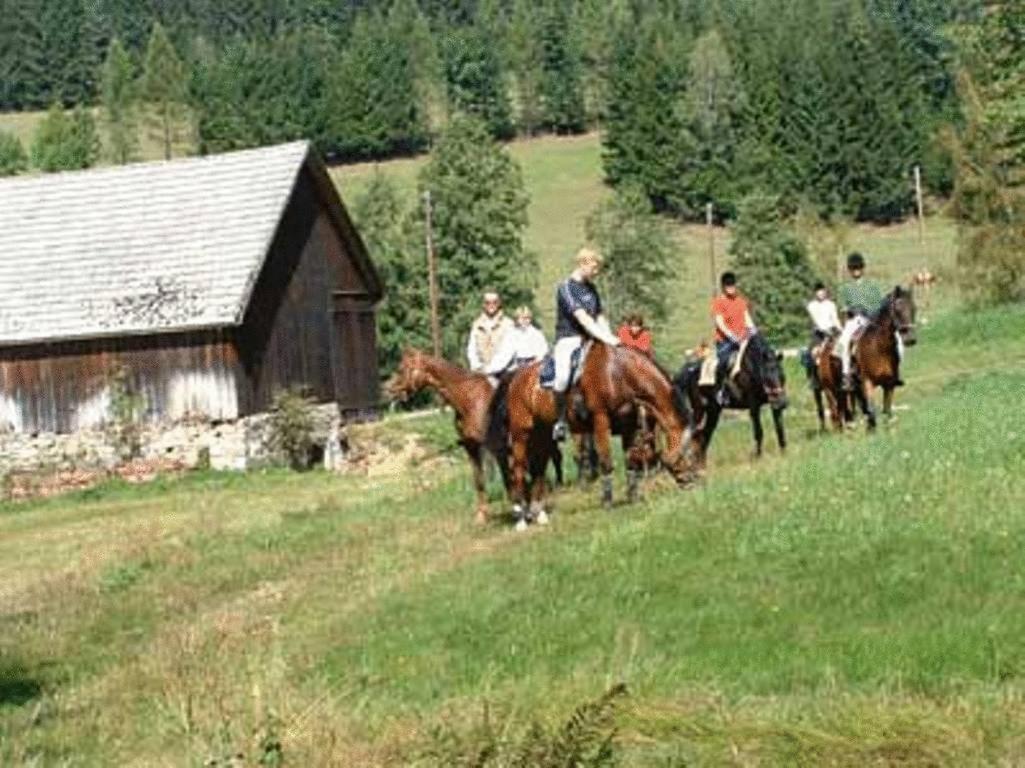 Reiterhof Stoeglehner Villa Rainbach im Mühlkreis Eksteriør billede